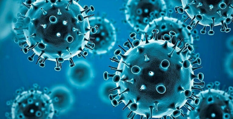 All you need to know about Mers-CoV virus detected in Abu Dhabi