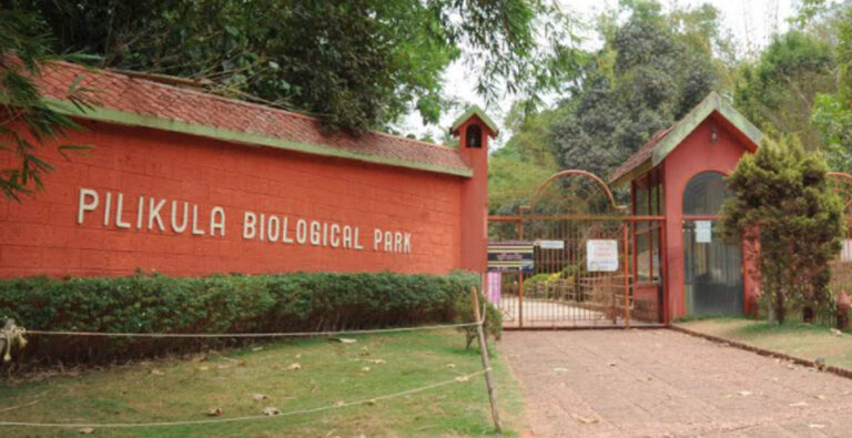 Injured tiger dies at Pilikula Nisargadhama