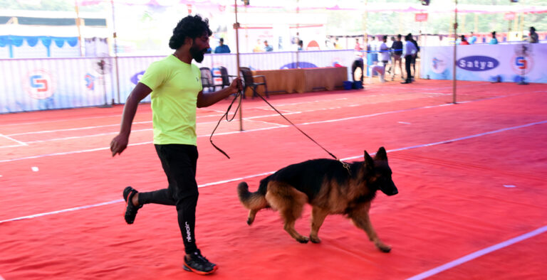 Mangaluru: Canine Show attracts dog lovers from across country Mangaluru: Canine Show attracts dog lovers from across country