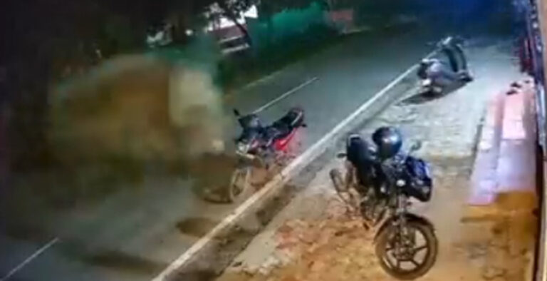 Elephant turns traffic cop, kicks motorcycle parked on road; watch