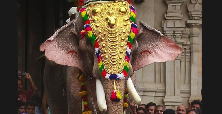 India’s tallest elephant is worshipped in Kerala and has killed 15 people
