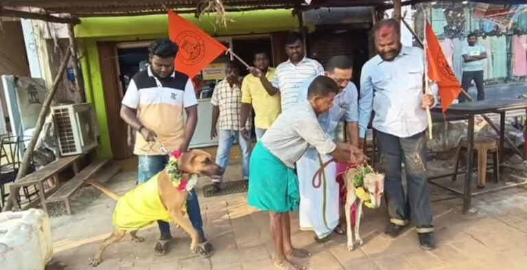 Hindu outfit in TN gets dogs married to protest against Valentine’s Day