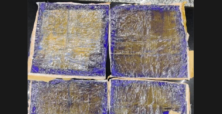 Gold powder worth Rs 14.5 lakhs seized by customs officials at MIA